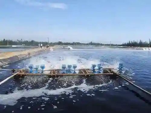 Thuốc Thủy sản Tân Hoàng Long