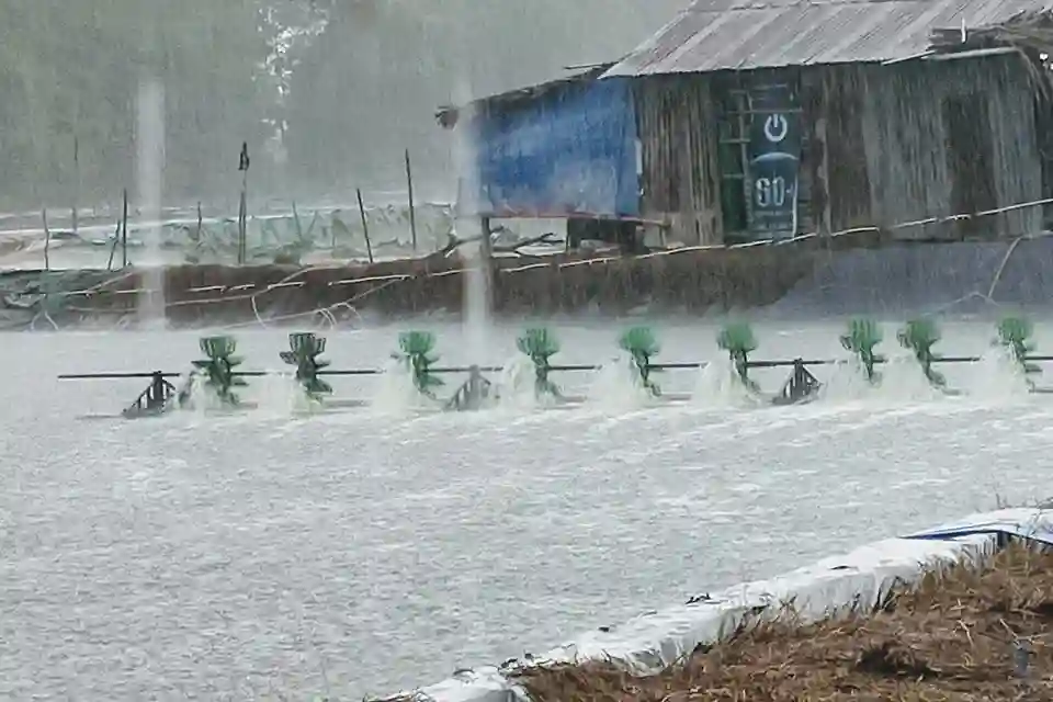 Thuốc Thủy sản Tân Hoàng Long