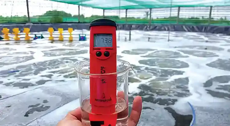 Thuốc Thủy sản Tân Hoàng Long