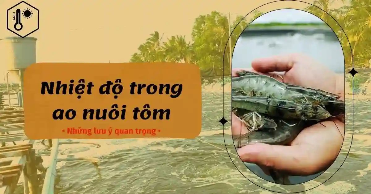 Thuốc Thủy sản Tân Hoàng Long